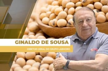 Soja fecha em alta na Bolsa de Chicago nesta 3ª feira; preços no Brasil...