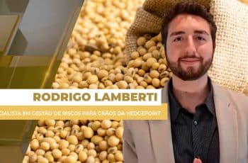 Soja fecha em alta na Bolsa de Chicago, mas repasse dos ganhos para os...