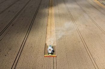 Do óleo de soja em alta ao café e cacau em queda: o retrato do agro no 1º tri de 2026