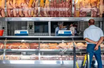 Arroba do boi gordo bate recorde histórico, encarece carne e pressiona mercado em MS