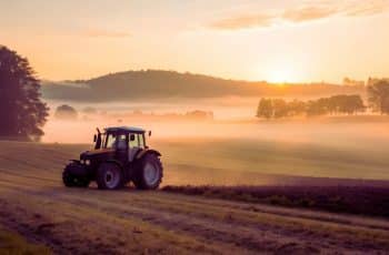 PIB do agronegócio em 2025 atinge R$ 3,20 trilhões, participação na economia brasileira avança