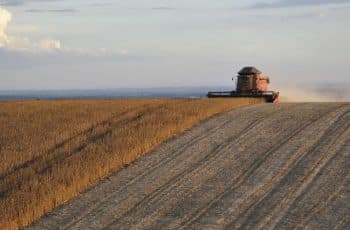 PIB do agronegócio cresce 12,2% e alcança R$ 3,2 trilhões