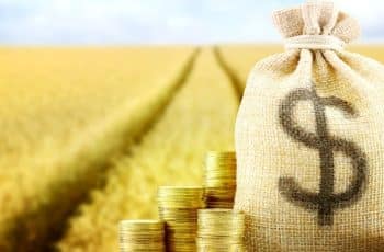 Preço da soja e milho sobe, mas lucro do agro pode cair