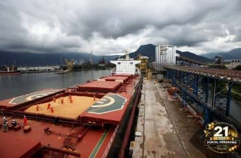 Preços da soja caem no Brasil e atingem menor nível para abril em cinco anos