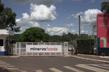 Lucro da Minerva sofre com alta da arroba do boi, mas receita cresce e bate R$ 13,4 bi no trimestre