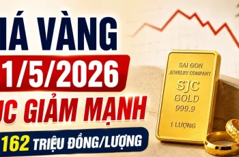Dong Thap: Municípios e distritos aceleram o desembolso de fundos de investimento público.