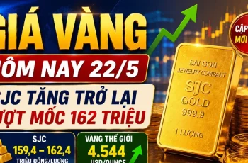 Ouro registra alta de 400.000 VND e fecha a 162,4 milhões de VND/onça em 22 de maio de 2026. 9 Expandir as atividades de importação e exportação a partir dos portos marítimos.