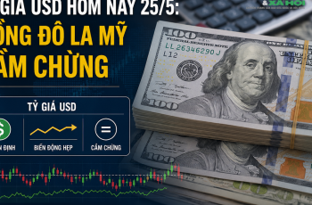 Dólar americano encerra cotado a 26.392 VND/USD, com leve alta de 2 dongs em relação ao dia anterior 2 Os desastres naturais estão se tornando cada vez mais imprevisíveis devido às mudanças climáticas.