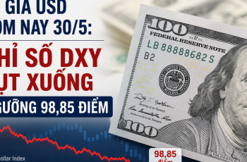 Dólar recua para 98,85 pontos na última sessão do índice DXY 1 Transformação digital das bibliotecas: Requer sincronização de dados, recursos humanos e mecanismos operacionais.
