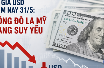 Dólar encerra a semana em 98,85 pontos, com queda de 0,12% no Índice do Dólar Americano (DXY) 6 Celebração solene do aniversário de Buda no Pagode Quan Su
