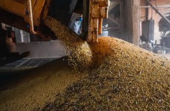 PIB do Brasil cresce 1,1% no primeiro trimestre de 2026, alcançando R$ 3,3 trilhões, segundo IBGE 3 PIB do Brasil cresce 1,1% no primeiro trimestre de 2026, maior alta desde 2025