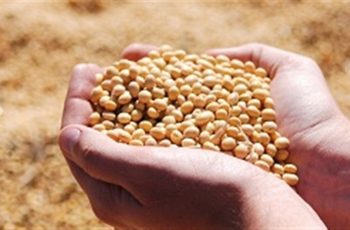 Soja encerra o dia em leve alta, com contrato de julho a US$ 11,9650 por bushel 6 No Brasil, o mercado físico mostrou comportamentos distintos entre os estados