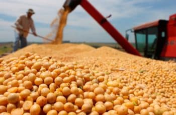Safra de soja do Brasil deve atingir novo recorde em 2025/26 após revisão de...