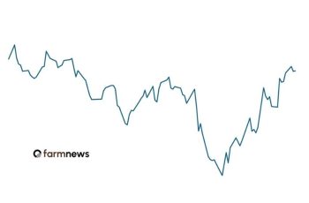 Boi gordo encerra maio com preço de R$ 353,5 na B3, enquanto mercado físico se aproxima de R$ 350,0 por arroba 11 Queda do preço do boi gordo no futuro foi exagerada e quem perdeu?