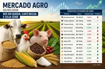 Boi gordo encerra com leve queda de 0,07%, cotado a R$ 354,20 em São Paulo 5 Preço do boi cai e café recua; soja sobe