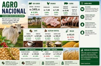 Café arábica sobe 0,54% e é negociado a R$ 1.614,77 na sexta-feira (22) 6 Agro: café, soja e boi fecham semana em alta