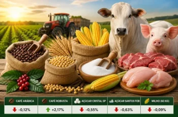 Café robusta avança 2,17% e fecha a R$ 941,92; café arábica recua 0,12% e termina a R$ 1.612,87 em São Paulo 1 Agro Hoje: café recua e boi sobe