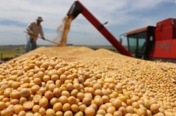 Com preço em queda, MS conclui a maior safra de soja da história