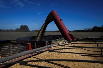 Soja recua 0,81% e fecha cotada a US$ 11,9425 por bushel na Bolsa de Chicago 11 Cotações da soja caem em Chicago pressionadas por petróleo e clima
