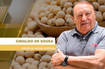 Soja fecha em baixa na Bolsa de Chicago, apesar de geopolítica ainda na mira