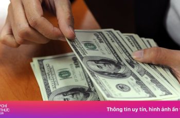 Vietnam.vn - Nền tảng quảng bá Việt Nam