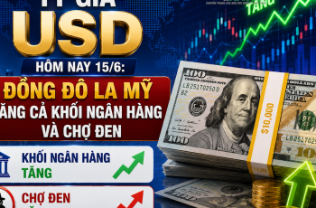 Vietnam.vn - Nền tảng quảng bá Việt Nam