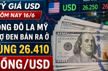 Dólar americano encerra em 26.310 VND para compra e 26.410 VND para venda no mercado paralelo em 16 de junho de 2026. 3 Vietnam.vn - Nền tảng quảng bá Việt Nam