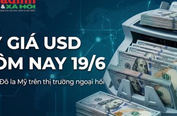 Dólar encerra a sessão em 26.440 dongs, com leve alta nas taxas de câmbio no Vietcombank e VietinBank 1 Vietnam.vn - Nền tảng quảng bá Việt Nam