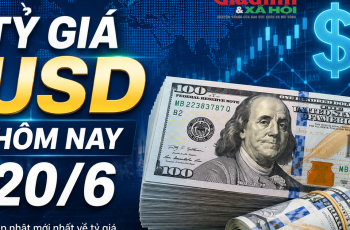 Dólar encerra em 26.440 VND/USD, sem variação em relação à sessão anterior 4 Vietnam.vn - Nền tảng quảng bá Việt Nam