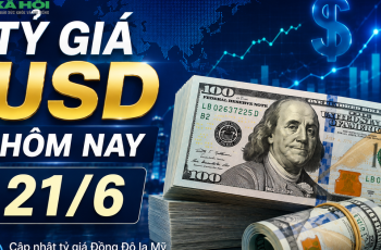 Dólar encerra estável a 26.600 VND/USD no mercado paralelo em 21 de junho de 2026 8 Vietnam.vn - Nền tảng quảng bá Việt Nam