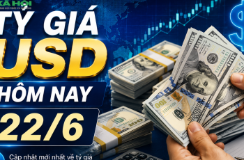 Dólar americano encerra em 26.442 dongs/USD, com leve aumento de 2 dongs em relação à sessão anterior 8 Vietnam.vn - Nền tảng quảng bá Việt Nam