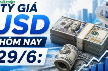 Dólar americano encerra o dia estável a 26.091 VND para compra e 26.461 VND para venda em 29 de junho de 2026 10 Vietnam.vn - Nền tảng quảng bá Việt Nam