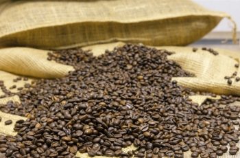 Soja lidera exportações brasileiras em maio, com destaque para demanda da China 5 Café, boi e soja: como o mercado internacional influencia o preço no Brasil