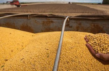 Soja fecha em alta na Bolsa de Chicago, cotada a US$ 11,34 por bushel, com avanço de 0,24% 12 Soja avança em Chicago sustentada por dados de exportação dos EUA