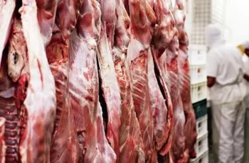 Exportações de carne bovina do Brasil para a China somam 157,6 mil toneladas em maio 3 Frigoríficos começam a reduzir abates de boi China – PORTAL LJ