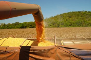 Custo Total da Safra 2025/26 avança 53% e alcança R$ 6.725,91 por hectare 9 Olhar Agro & Negócios