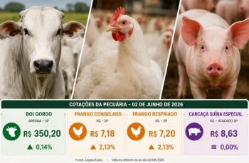 Arroba do boi gordo sobe 0,14% e fecha a R$ 350,20 no indicador Cepea/Esalq 5 Arroba do boi gordo avança e frango dispara mais de 2%