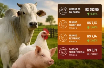 Arroba do boi gordo avança 0,34% e fecha a R$ 353,50 2 Arroba do boi gordo sobe e frango avança