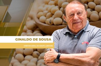 Trump, USDA, El Niño: Soja tem 5ª feira cheia, recuando na Bolsa de Chicago e no Brasil