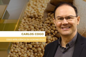 Soja deve voltar a subir no 2º semestre com ameaça do El Niño sobre safra do Brasil, afirma analista