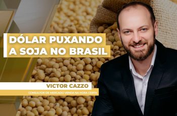 Soja avança e preços no Brasil variam entre R$ 133,00 e R$ 134,50 por saca 9 Preços da soja têm semana de altas no Brasil com estímulo do dólar e...