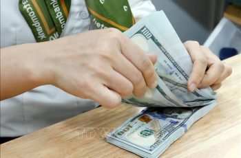 Dólar americano encerra em alta, cotado a 25.293 VND/USD 12 Vietnam.vn - Nền tảng quảng bá Việt Nam