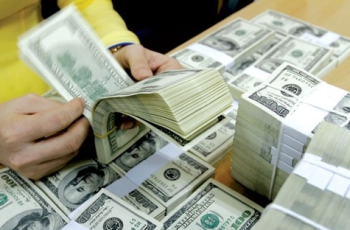Dólar Americano encerra a semana em queda de 0,47%, cotado a 100,88 no Índice DXY. 4 Admire o tesouro nacional, o ginseng Ngoc Linh, quando suas sementes amadurecem e adquirem uma cor vermelha vibrante.