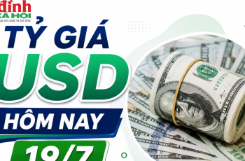 Dólar encerra estável a 26.410 VND para compra e 26.510 VND para venda no mercado paralelo em 19 de julho de 2026 11 Vietnam.vn - Nền tảng quảng bá Việt Nam