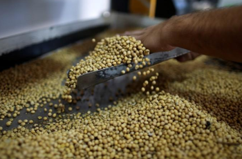 Soja avança na Bolsa de Chicago, com preços futuros chegando a US$ 11,36 por saca 6 Soja amplia ganhos na Bolsa de Chicago com valorizações nesta quinta-feira