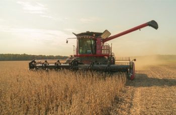 Soja fecha em alta, com contrato de julho de 2026 a $11,24 por bushel e março de 2027 a $11,73 por bushel. 5 Soja valoriza em Chicago e no FOB Santos amid volatilidade e demanda