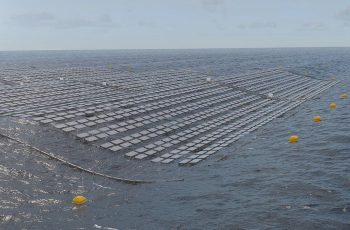 Fred. Olsen 1848 Lança Sistema de Energia Solar Flutuante "Brizo" com Validação Técnica para Ambientes de Ondas Extremas 8 Floating Solar PV ... To Survive 3.5 Meter Waves
