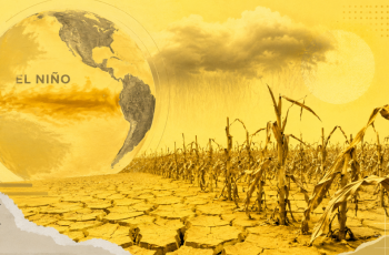 Governo Lula anuncia R$ 1,33 bilhão para enfrentar possíveis impactos do El Niño no Brasil 3 Governo anuncia R$ 1,3 bilhão para enfrentar possíveis efeitos do El Niño