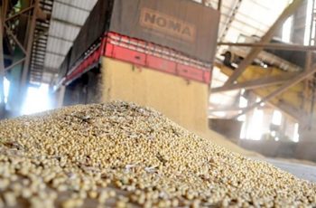Soja comercializada atinge 87,68% da produção em junho em Mato Grosso, com preço médio de R$ 110,75/saca para safra 26/27. 9 Safra atual e anterior da soja em Mato Grosso tem ‘preços favoráveis’