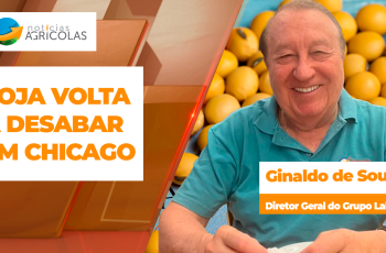 Soja desaba mais de 30 pts em Chicago, perde os US$ 12, preços caem também...
